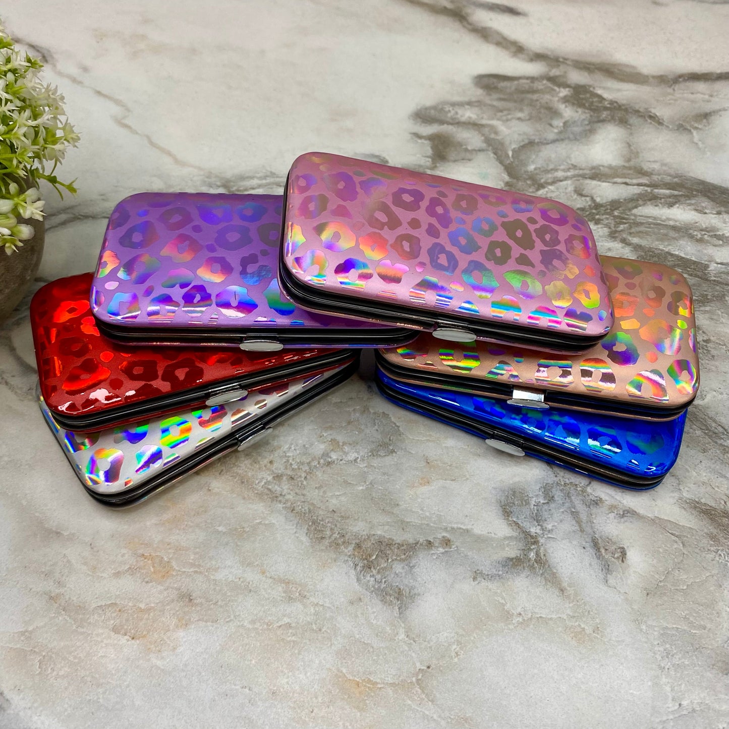 Manicure Nail Case & Set - Holographic Animal Print