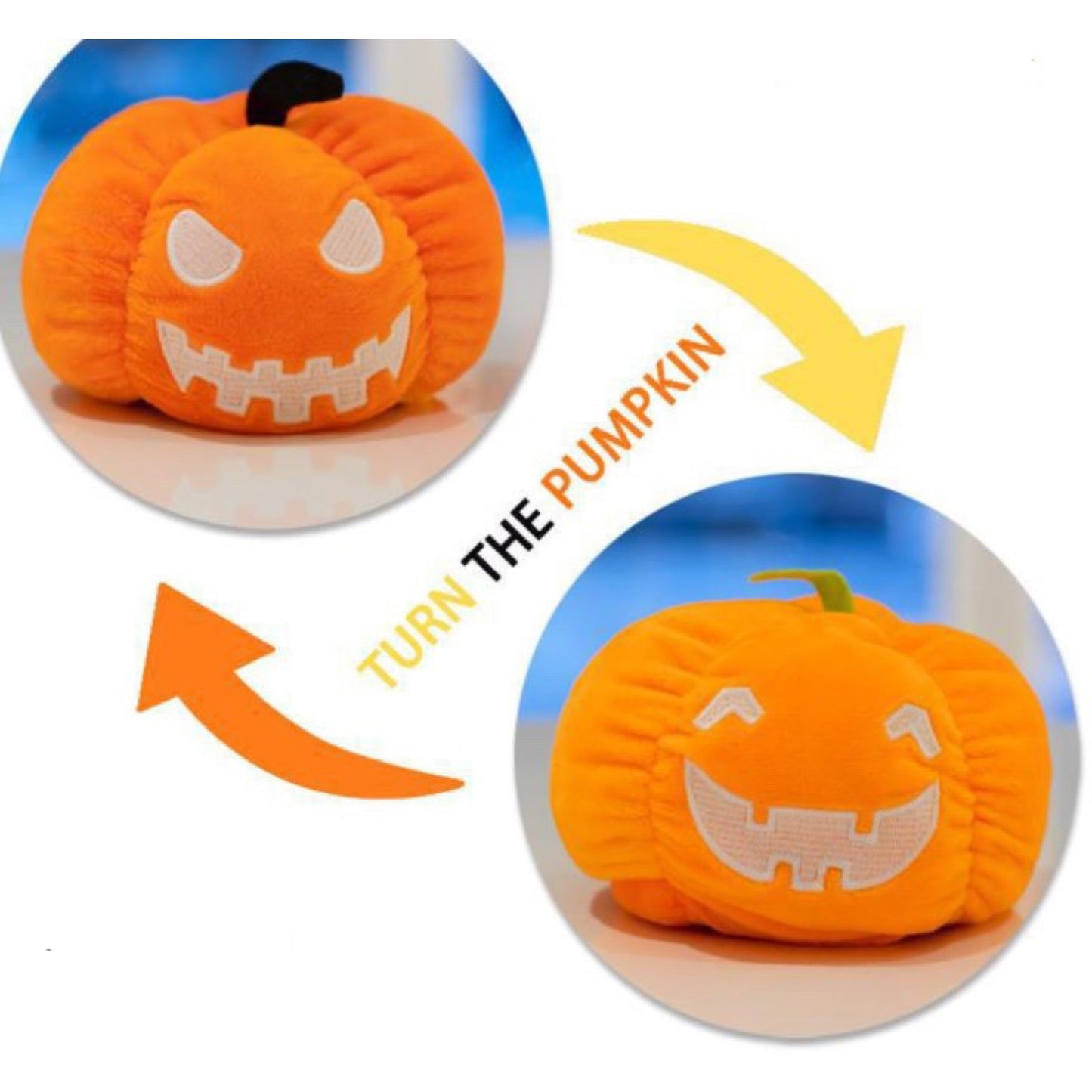 Moody Animals - Pumpkins, Dog & Cats